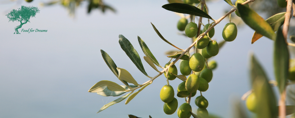 Olio extravergine d'oliva italiano acquista Svizzera